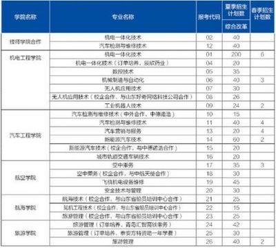 山東職業(yè)學(xué)院軟件專業(yè) 技能培養(yǎng)與就業(yè)前景分析